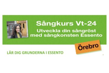 Sånglektioner/sångterapi/röstvård – Örebro